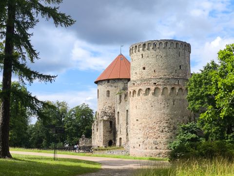 Цесис