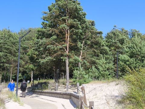 Лиепая